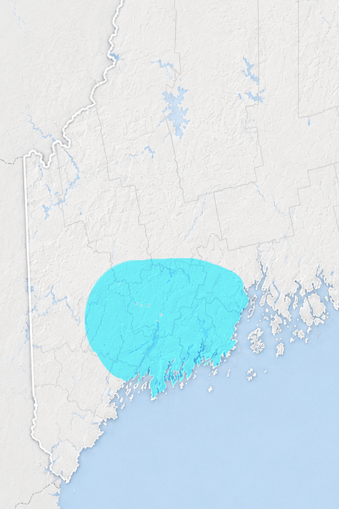 ideal_map